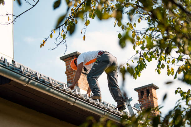 Best Residential Roofing Contractor  in Lyons, WI